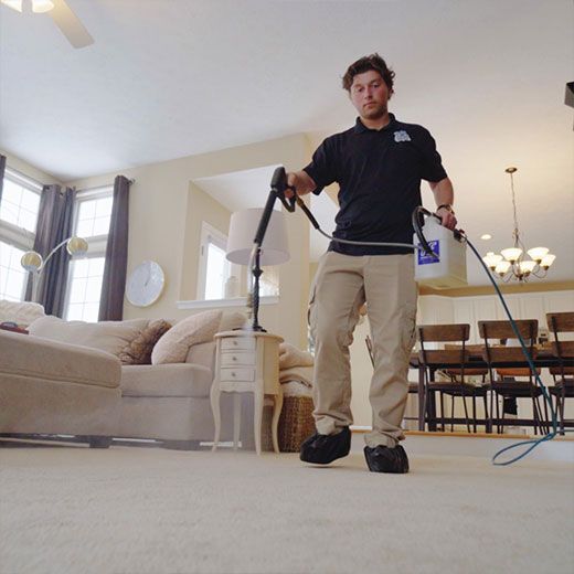 Clean & Tidy Professionals